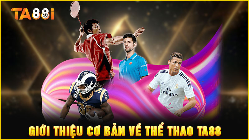 giới thiệu cơ bản về thể thao ta88